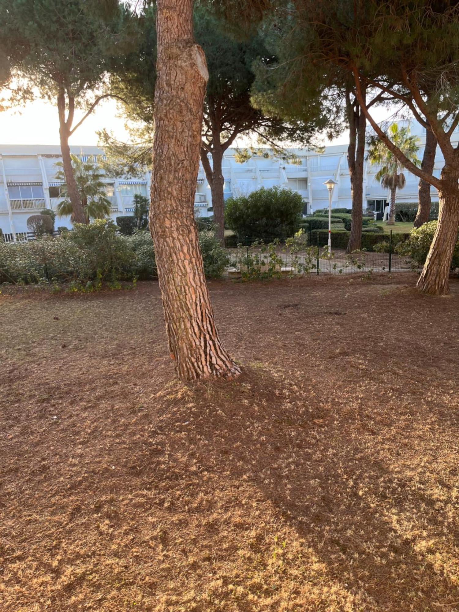 Les Caravelles Plage Sud Le Grau-du-Roi Extérieur photo